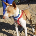 I look so pretty today