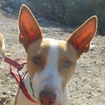 Hey you looking at me?