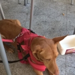 Its been a busy day, resting now