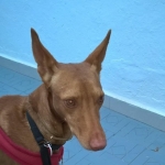 So whats happening next? I'm all ears