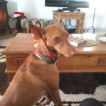 On my Christmas Holidays