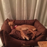 On holiday feeling very cosy