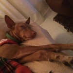 Holiday snaps, enjoying the lazy life