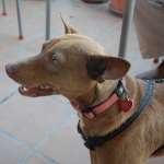 Enjoying the terrace at El Trapiche bar