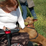 I like my ball but I like my friends more