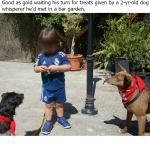 Taking turns for treats from a dog whisperer (2yr)