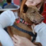 Loving knee-time with a friend