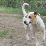 loves to play