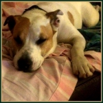 Sleep Time