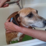bath time!
