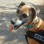 Loving my walks and runs