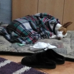 Bit chilly under the fan!