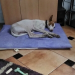 Time to sleep