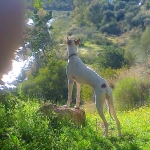 Out walking and exploring.