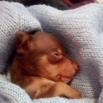bed bed time