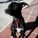 I'm sitting, can I have whatever you are having