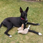 Enjoying life in my forever home