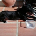 Stretching out in the sun