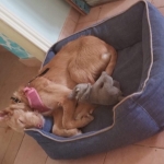It's been a busy day