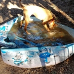 Minnie bathing