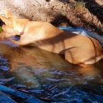 Little girl loves bathing