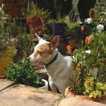 I just love playing in the garden
