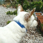 What is going on over there I wonder?