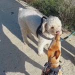 Walking with a friend