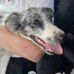 When found, safe in the car