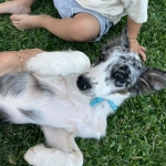 loving the attention